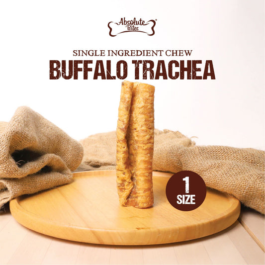 Absolute Bites Buffalo Trachea Chew, high-protein, natural chew made from premium buffalo trachea.