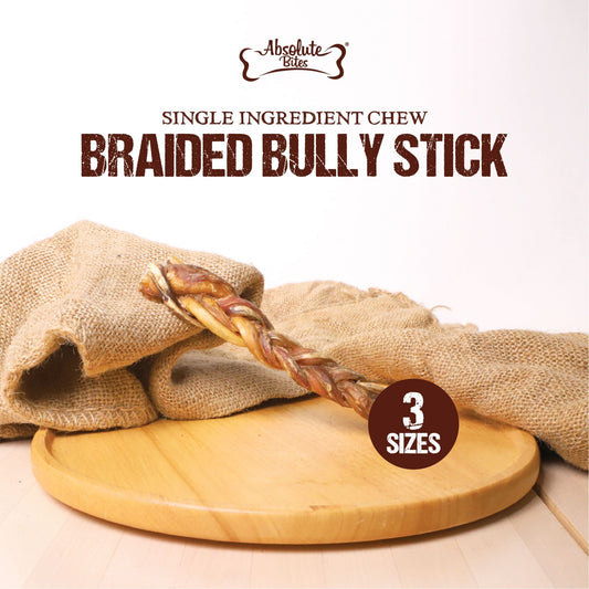 Absolute Bites Braided Bully Stick, high-protein, natural chew made from premium beef.
