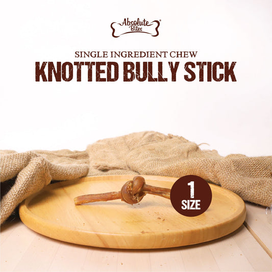 Absolute Bites Knotted Bully Stick, high-protein, natural chew made from premium beef.