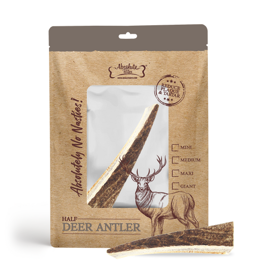 Absolute Bites Half Deer Antler, high-protein, natural chew for medium-sized dogs.