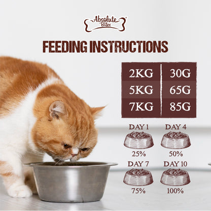 Absolute Bites Freeze-Dried Raw Salmon Treats for Cats & Kittens, high-protein snacks made with premium raw salmon.