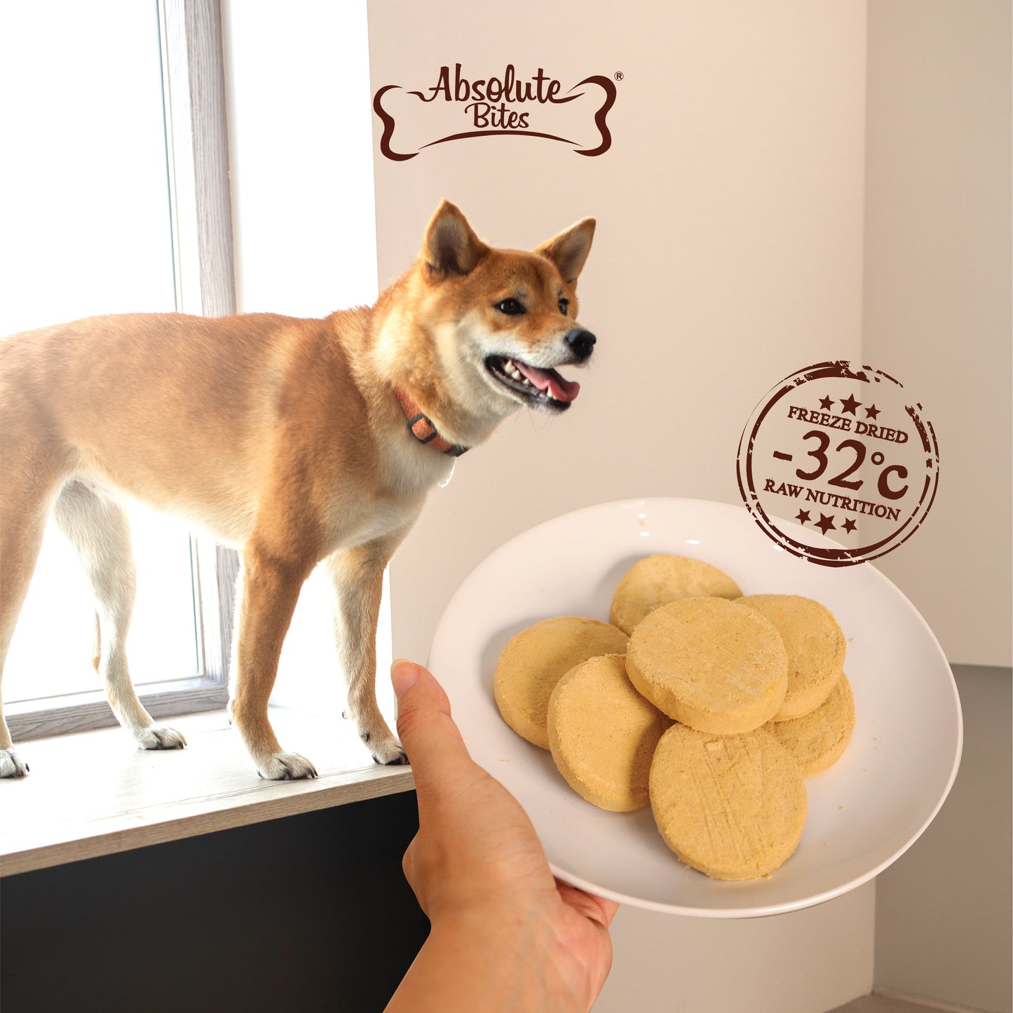 Absolute Bites Freeze-Dried Raw Lamb Patty for Dogs, high-protein treat made with premium raw lamb.