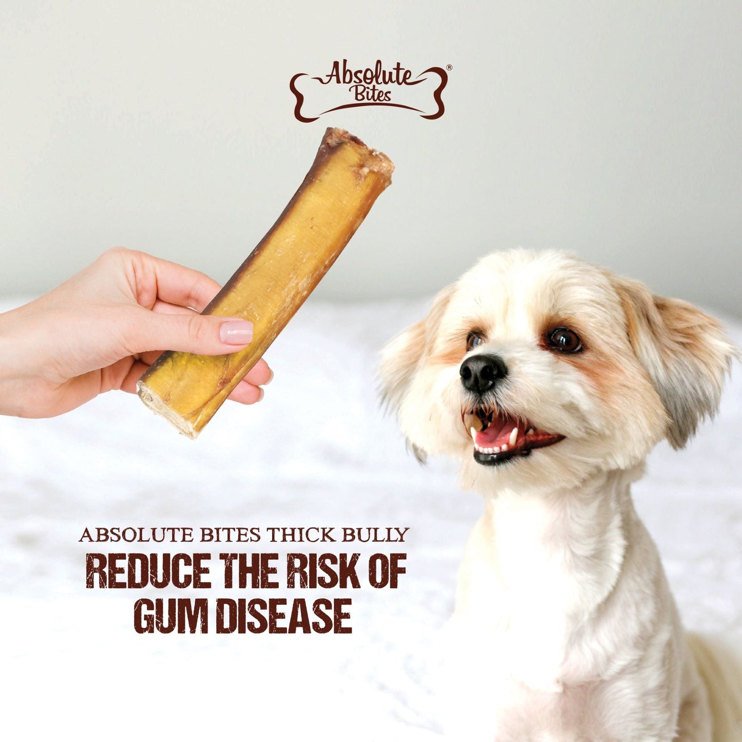 Absolute Bites Single Ingredient Dog Chew - Thick Bully Stick (Medium) | 3pcs