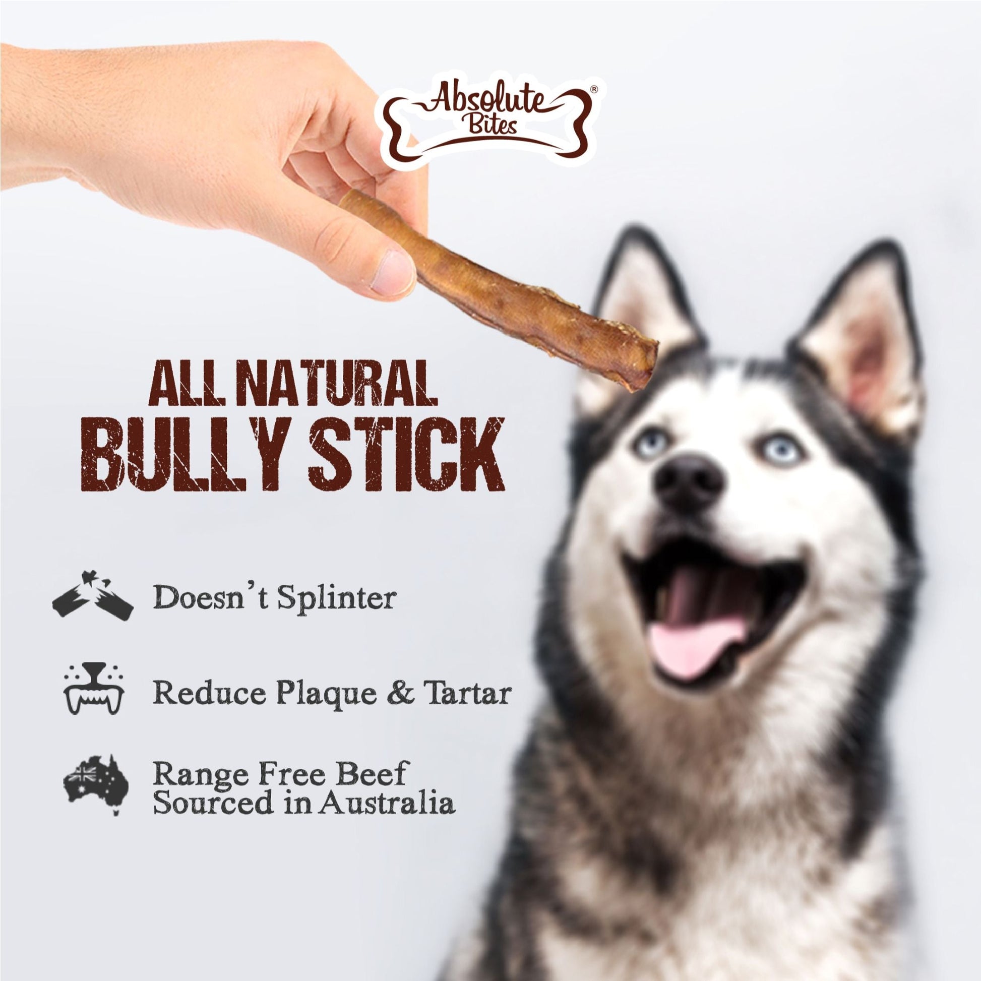 Absolute Bites Single Ingredient Dog Chew - Thick Bully Stick (Maxi) | 2pcs