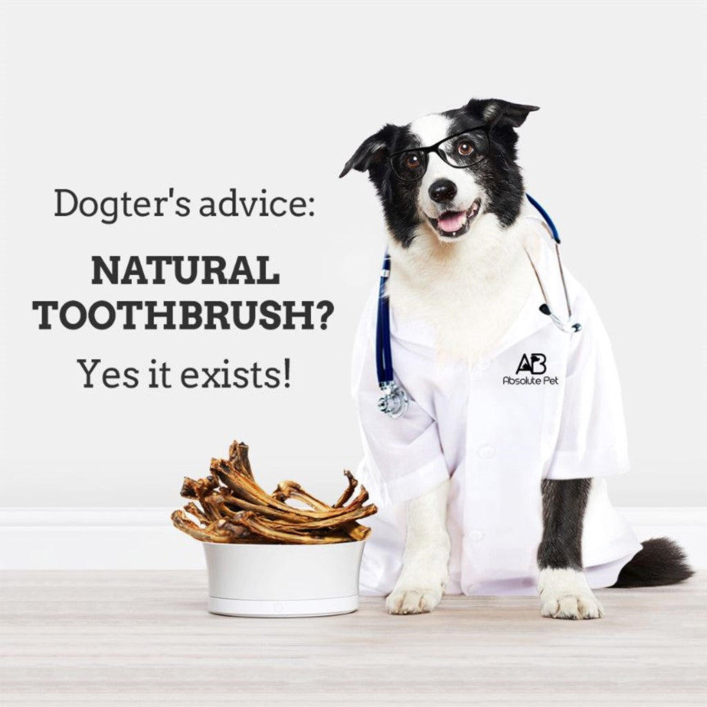 Absolute Bites Single Ingredient Air Dried Treats for Dogs - Duck Necks (300g)