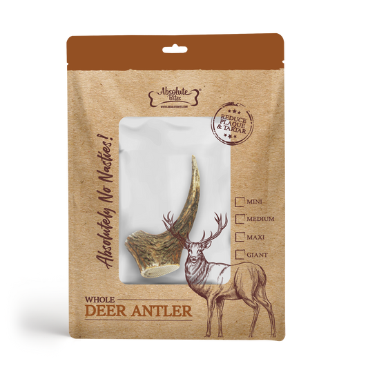 Absolute Bites Single Ingredient Dog Chew - Whole Deer Antler (Mini) | Dental Care