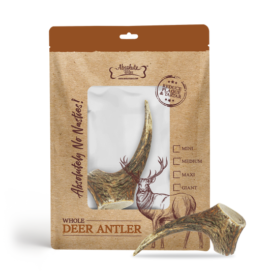 Absolute Bites Single Ingredient Dog Chew - Whole Deer Antler (Maxi) | Dental Care