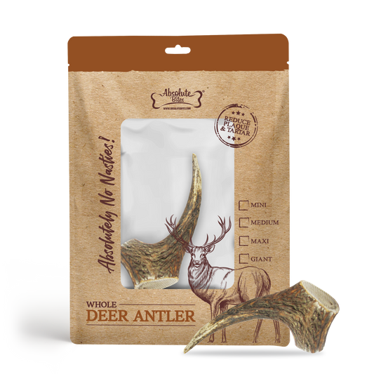 Absolute Bites Single Ingredient Dog Chew - Whole Deer Antler (Medium) | Dental Care